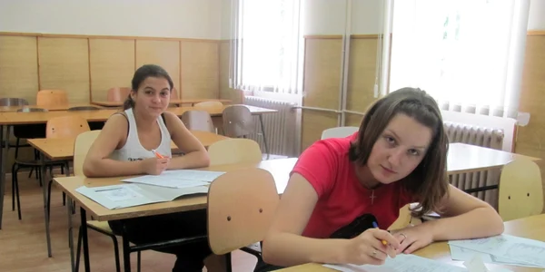 profesori