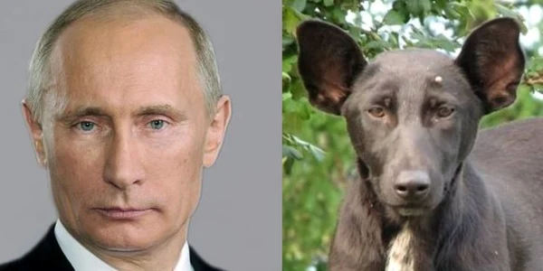 Putin