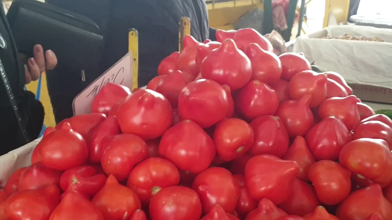 Legumicultorii din Glodeanu Sărat spun că tomatele lor sunt sănătoase FOTO Iulian Bunilă