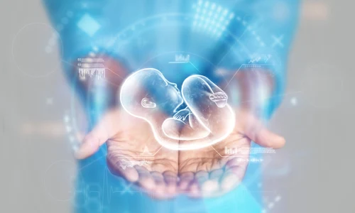 shutterstock 2174447291 jpg