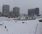Prima ninsoare la Slatina Foto Mugurel Manea