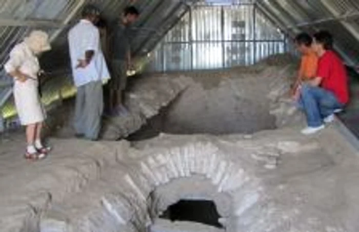 Ibida (Slava Cercheză)