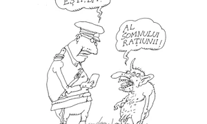 Țesături jpeg