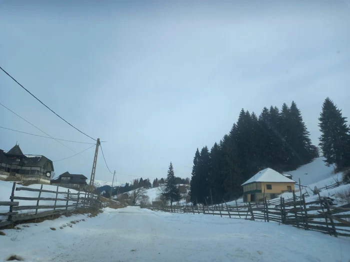 Iarnă la munte FOTO Mariana Iancu