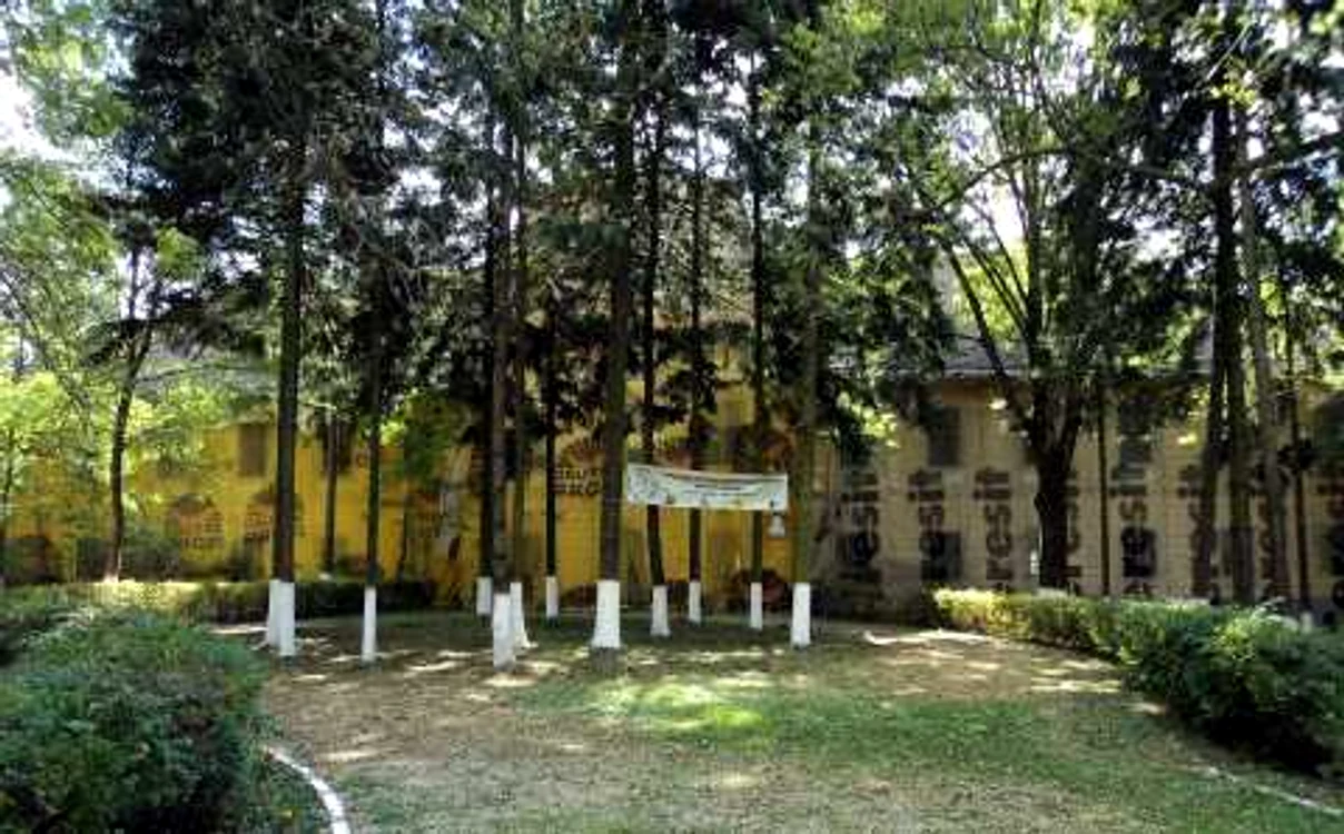 Palatul de la Sâmbăta de jos