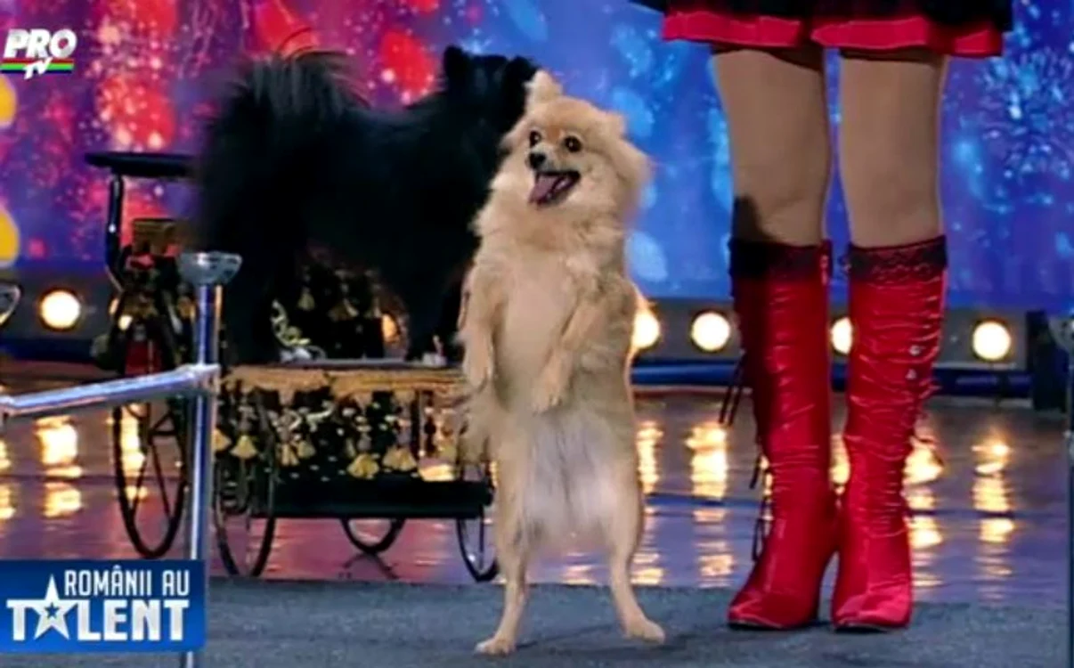 Romanii au talent