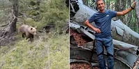 barbatul atatcat de un urs in grecia jpg