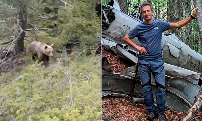 Bărbatul atacat de un urs într-o pădure din Grecia FOTO: X