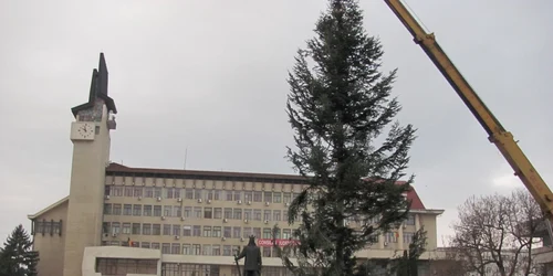 Bradul a fost montat în centrul civic al oraşului FOTO