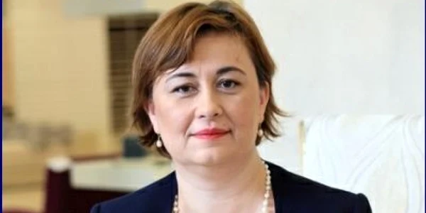 raluca van staden cercetator