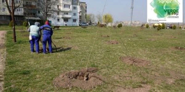 calarasi parc