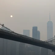 14156298 m jpg