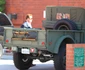 7 arnold vehicule militare razboi 2 jpg jpeg