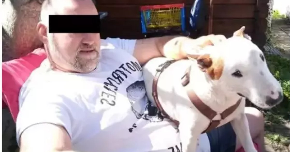 Românul din Germania care și-a zidit iubita în peretele unui bar și-a aflat pedeapsa. Câți ani a primit pentru crima înfiorătoare