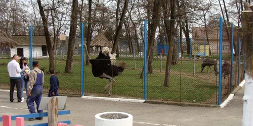 Grădina Zoologica din Ostroveni va fi modernizată
