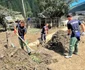 Intervențiile continuă în ritm susținut în județul Suceava. FOTO: DSU
