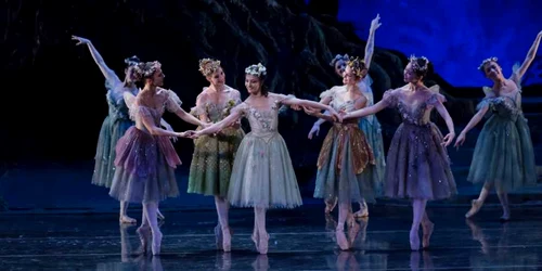 The dream. opera narionala bucuresti FOTO