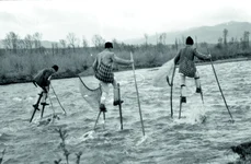 Pescuitul în spațiul mureșean (foto: Muzeul Etnografic „Anton Badea” Reghin)