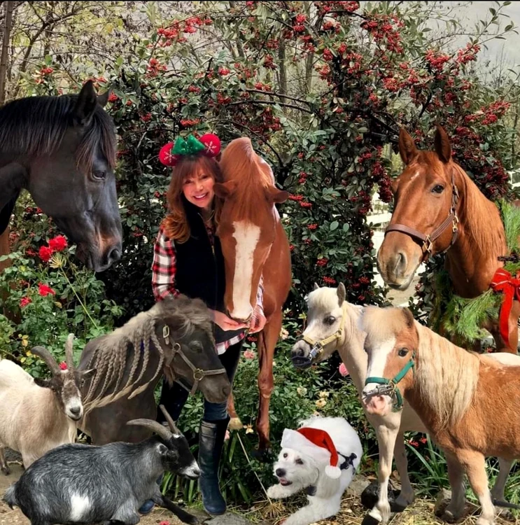 Victoria Principal, 71 de ani, Crăciun cu animale - foto Instagram