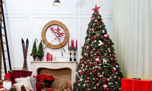 1 decor craciun jpg jpeg