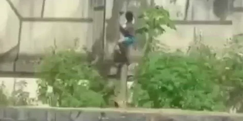 Tânăr de 19 ani, ucis de o leoaică X @CerfiaFR mp4 thumbnail png