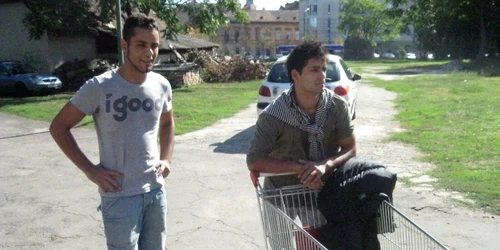 Cei doi se plimbau în voie cu căruciorul în parc