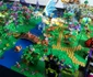 lego bistrita 8