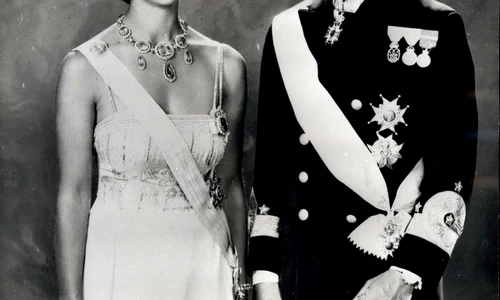 3 profimedia 0209947730 jpg jpeg