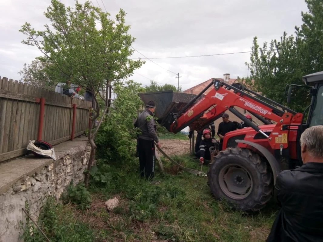 cal cazut in fantana foto isu tulcea