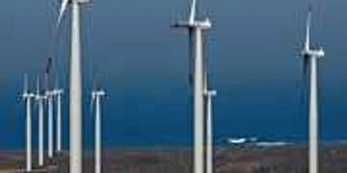 Iberdrola Renovables îşi deschide un birou în România