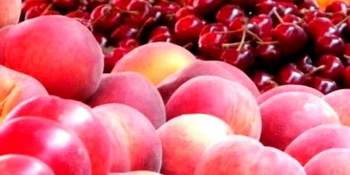 Fructele confiscate erau comercializate ilegal 