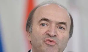 tudorel toader jpeg