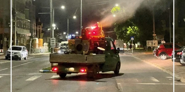 calarasi noi tratamente de dezinsectie foto faceb/PMC