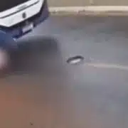 Bebelus gif