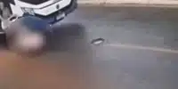 Bebelus gif
