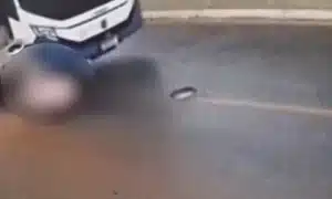 Bebelus gif