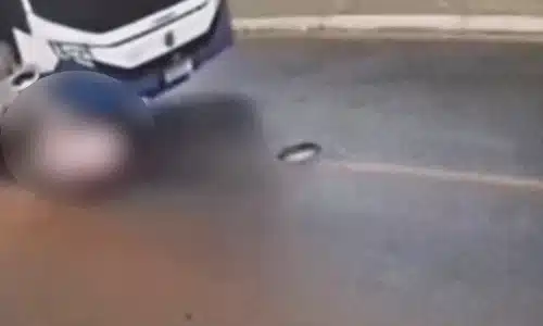 Bebelus gif