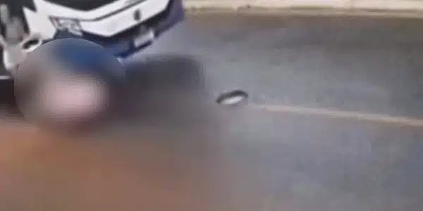 Bebelus gif