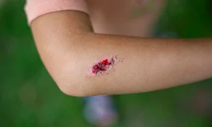 rana sangerand shutterstock jpg