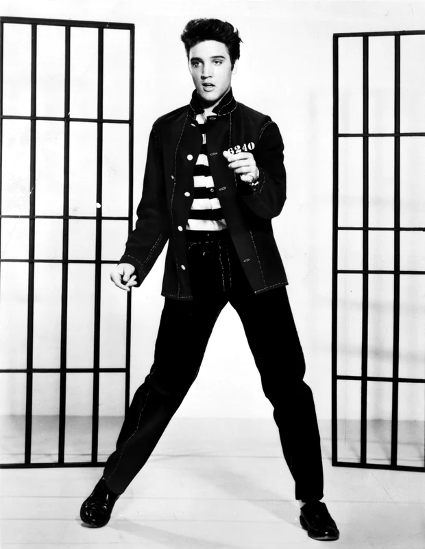 foto 1   Elvis, profimedia jpg