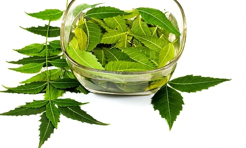 1 62827 original jpg jpeg