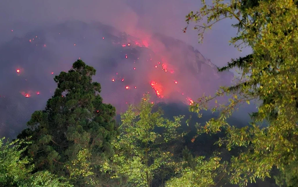 incendiu vegetatie