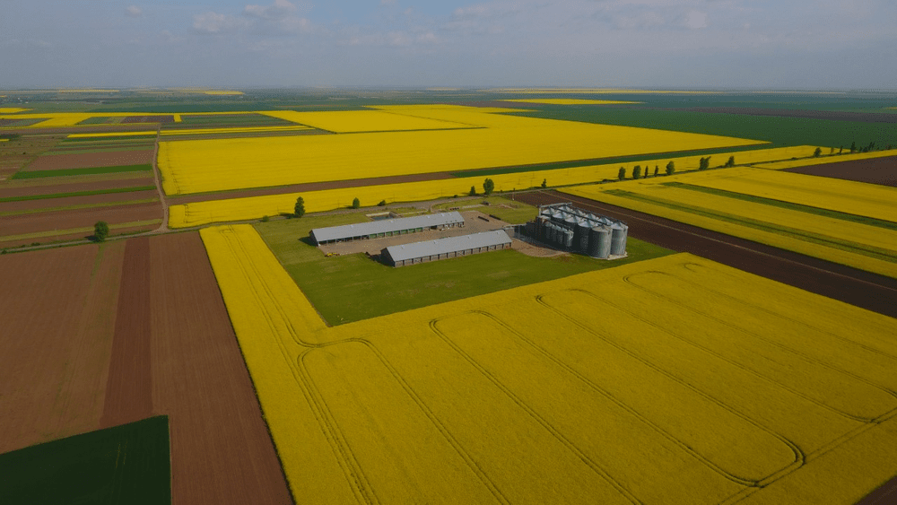 Danezii de la Romania Farm Invest au cumpărat o fermă de 1.370 ha