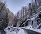 Cheile Jiețului din Hunedoara Foto Daniel Guță ADEVĂRUL (16) jpg
