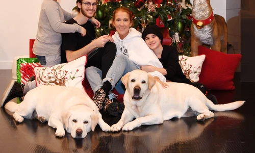 1 celine dion copii craciun 2018 jpg jpeg