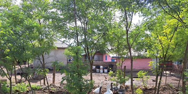 casa cumparata draguseni jpg