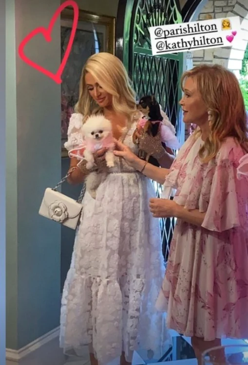 La petrecerea burlăciţelor, Paris a fost însoţită de mama sa, Kathy, şi de căţeii ei