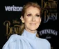 celine dion jpeg