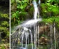 Cascada Verde - Borogeana de pe Cheile Latoriţei - Vâlcea Foto colaj