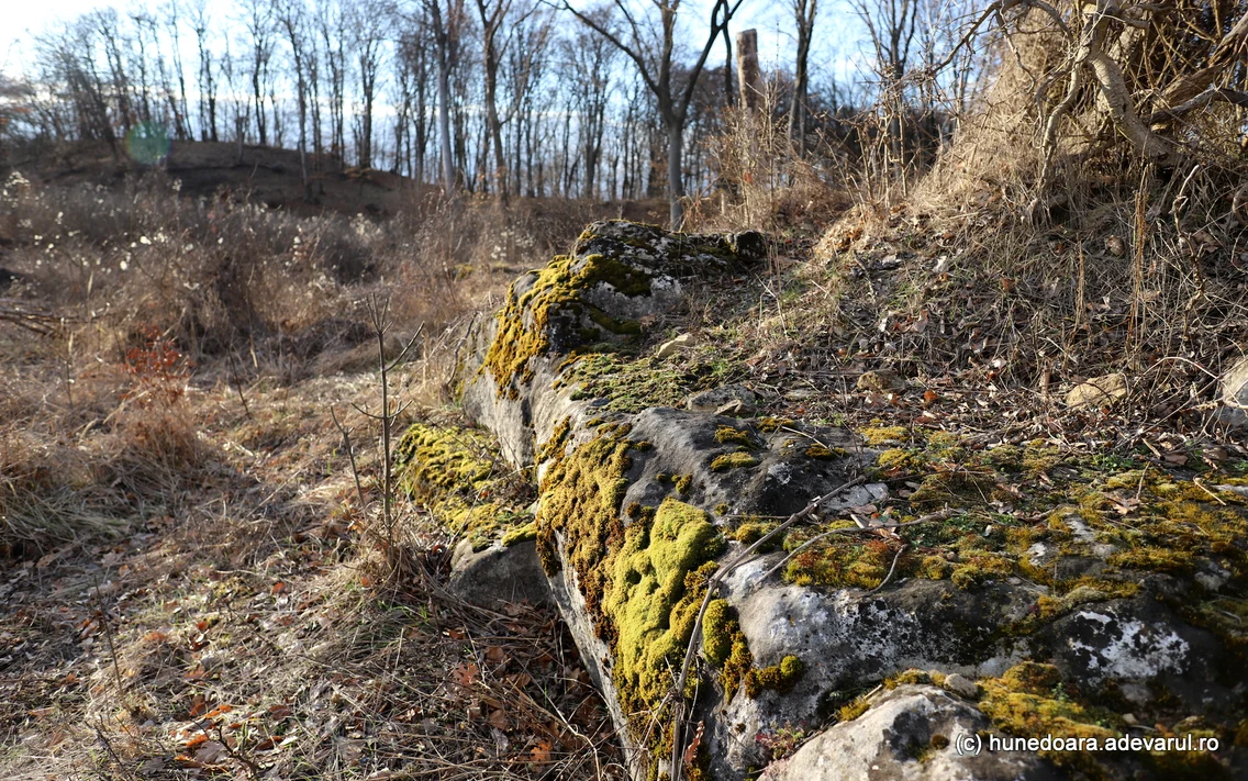 Magura Călanului Foto Daniel Guță ADEVĂRUL (156) JPG